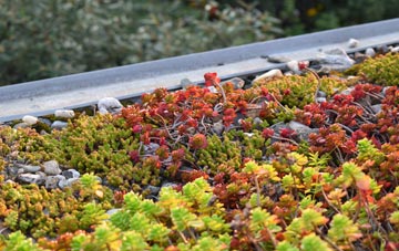 the cost of Donhead St Andrew green roof installation