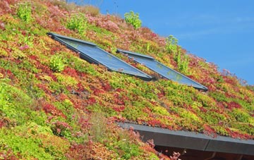 Donhead St Andrew living roof systems