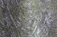 Donhead St Andrew fibreglass roof work